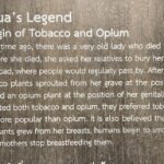 Opium info at the museum