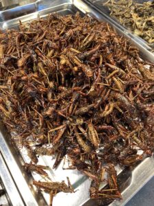 fried crickets