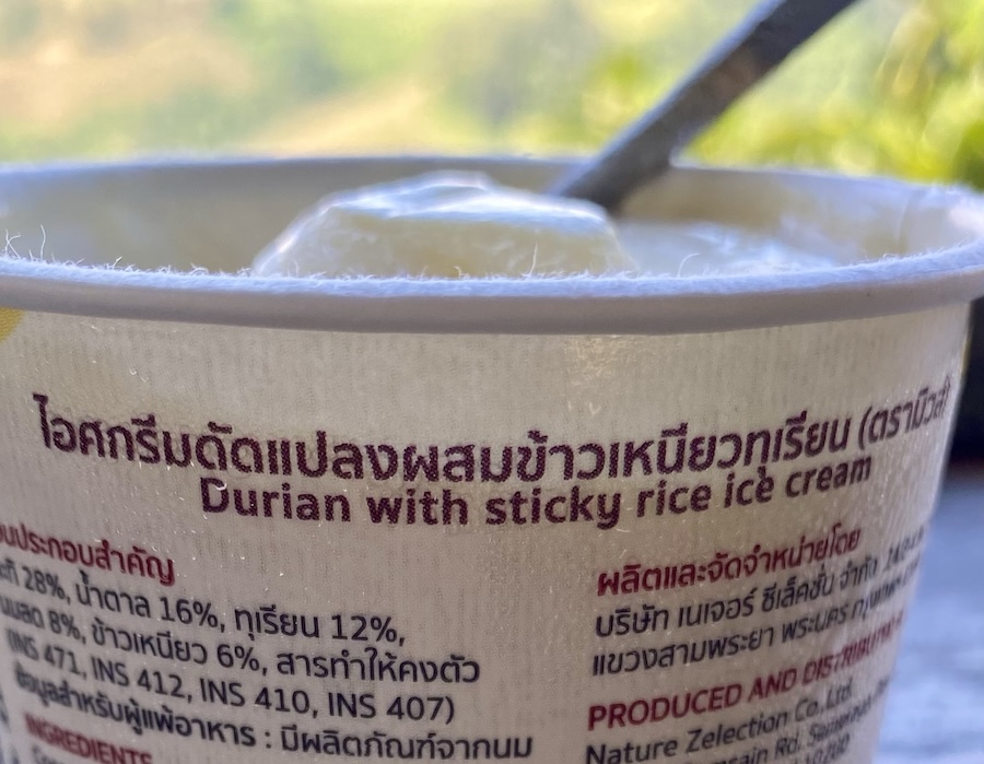 Durian with sticky rice ice cream